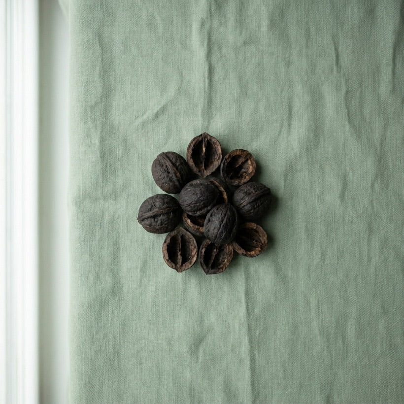 Black Walnut Hull & Wormwood