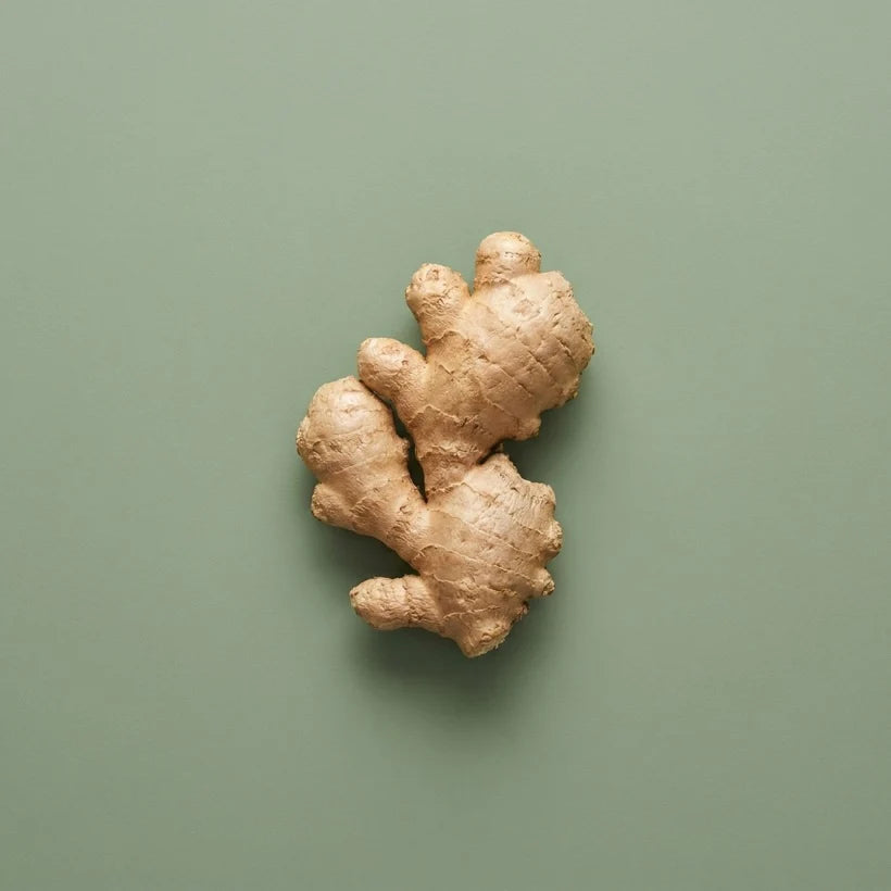 Ginger Root